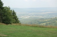 DSC_4371.JPG
