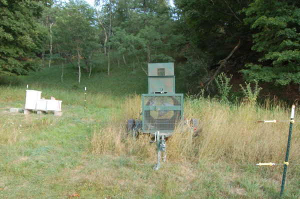 DSC_4387.JPG