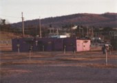 Drive Inn.jpg