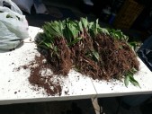 20140504_135046.jpg