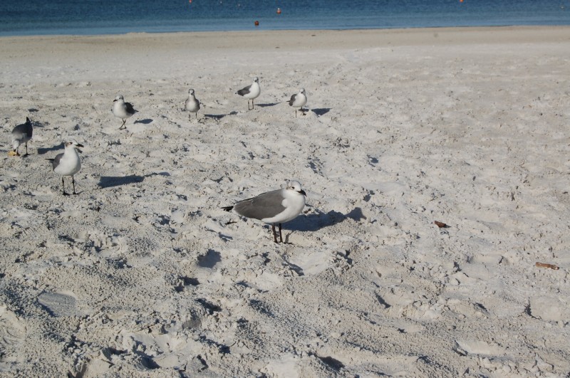 DSC_2874.JPG
