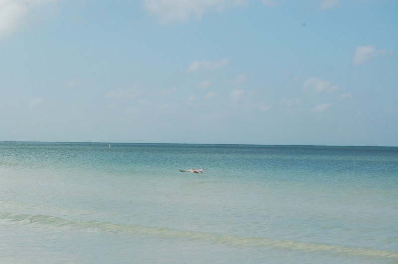 DSC_2883.JPG