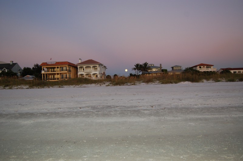 DSC_2979.JPG