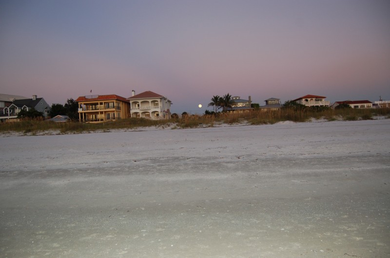 DSC_2980.JPG