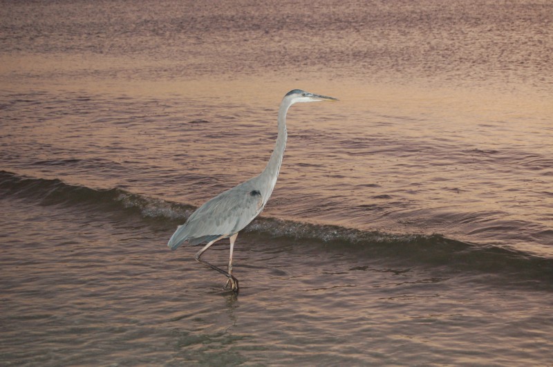 DSC_2983.JPG