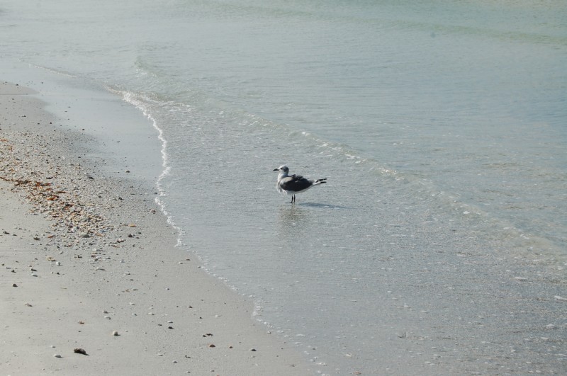 DSC_2885.JPG