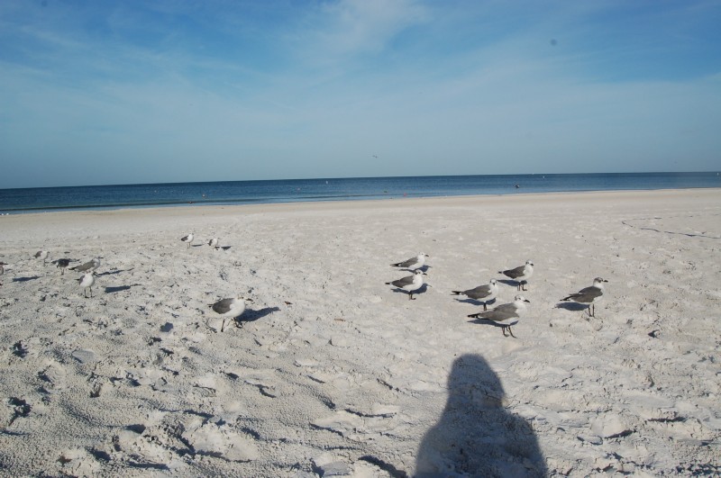 DSC_2875.JPG