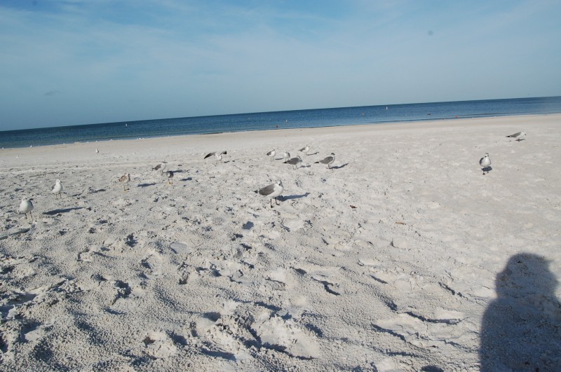 DSC_2878.JPG