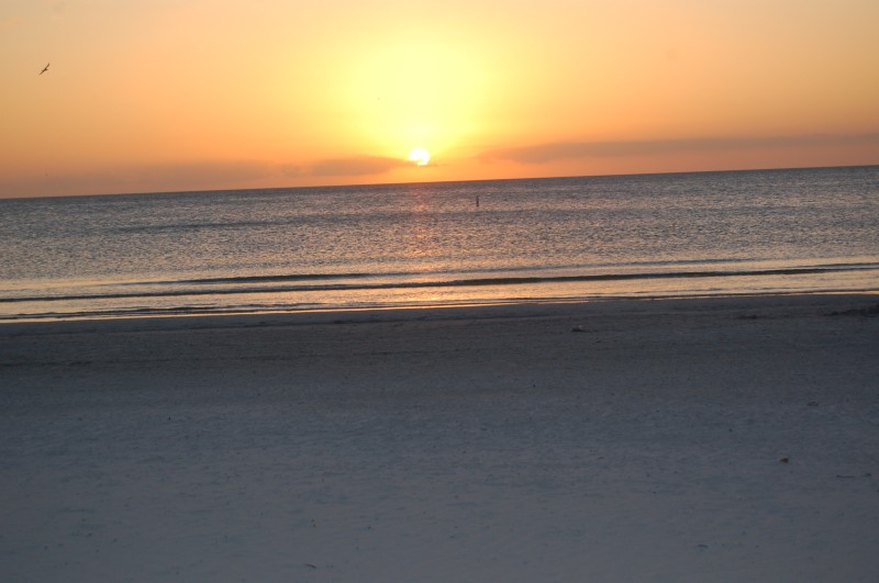 DSC_2971.JPG