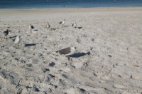 DSC_2874.JPG