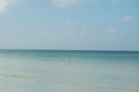 DSC_2883.JPG