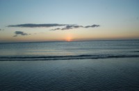DSC_2977.JPG