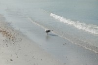 DSC_2884.JPG