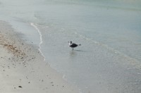 DSC_2885.JPG