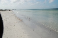 DSC_2886.JPG