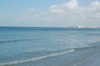DSC_2887.JPG
