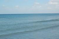 DSC_2888.JPG