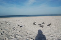 DSC_2875.JPG