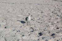 DSC_2877.JPG
