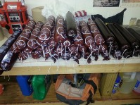 Deer Bologna 1.jpg