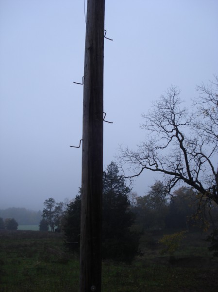 DSC01506.JPG