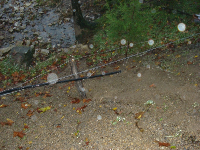 DSC01510.JPG
