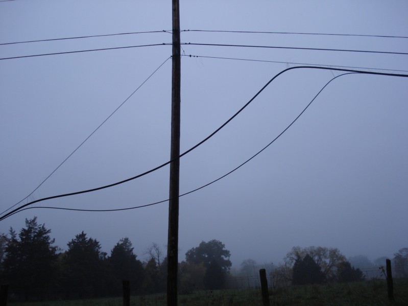 DSC01514.JPG