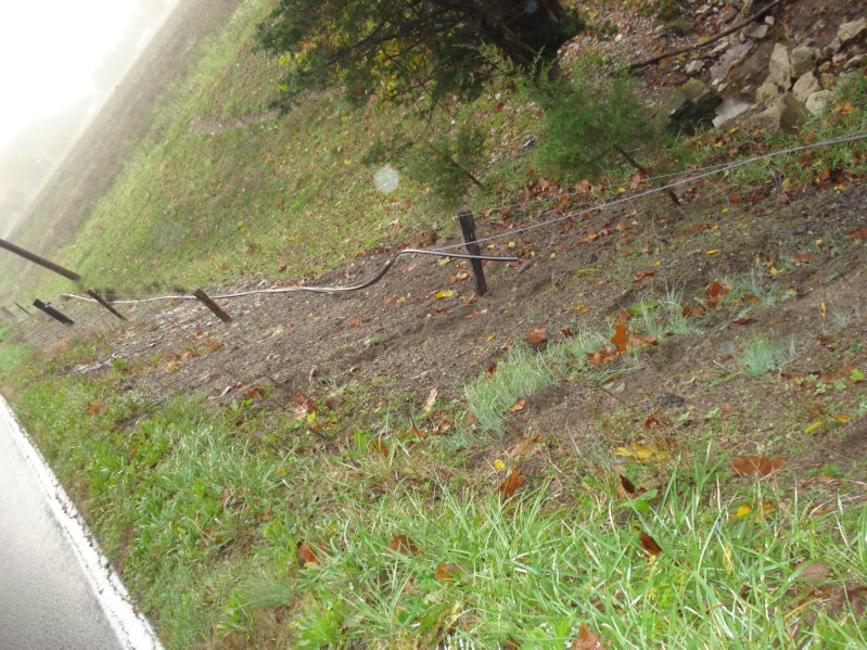 DSC01533.JPG