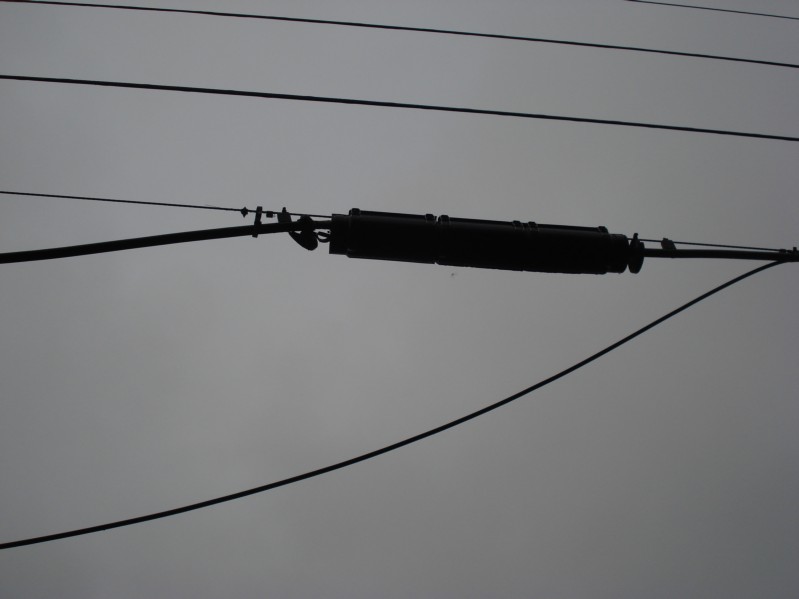 DSC01544.JPG