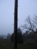 DSC01506.JPG