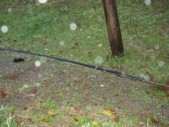 DSC01508.JPG