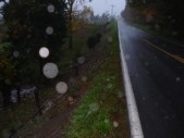 DSC01509.JPG