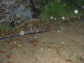 DSC01510.JPG