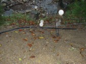 DSC01511.JPG