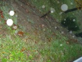 DSC01512.JPG