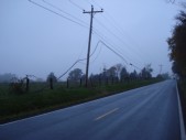 DSC01513.JPG