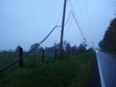 DSC01517.JPG