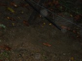 DSC01520.JPG