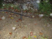 DSC01521.JPG