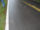 DSC01526.JPG