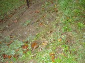 DSC01527.JPG