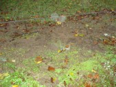DSC01528.JPG