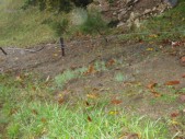 DSC01529.JPG