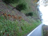 DSC01530.JPG